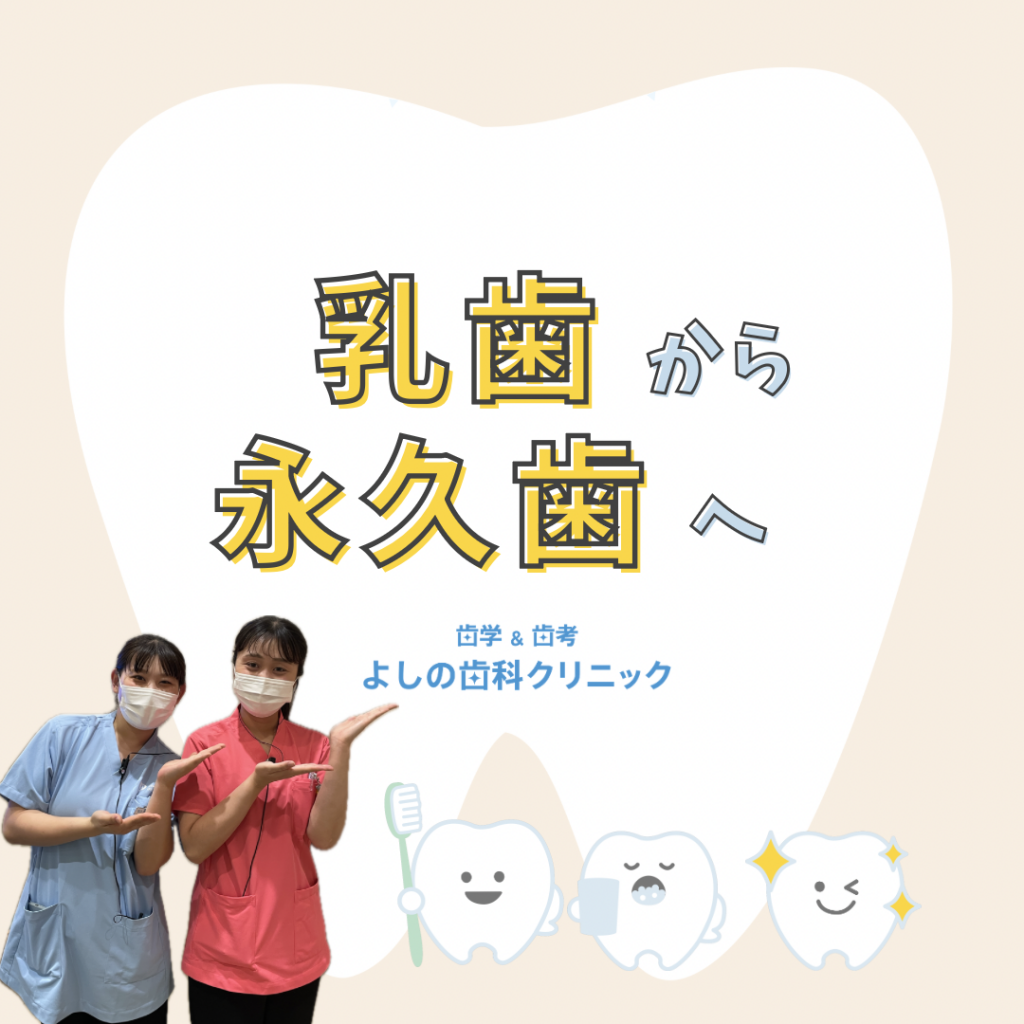 乳歯から永久歯へ🦷